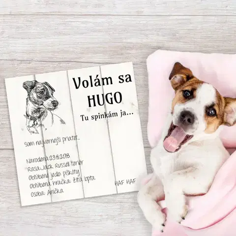 Tabuľky s venovaním (darčeky) Obraz na stenu - Meno pre psa na tabuľke s fotkou