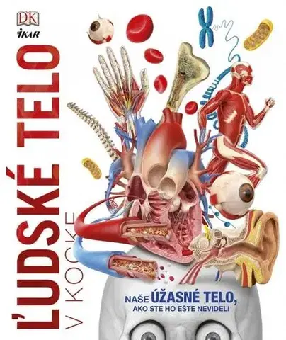 Ľudské telo, človek Ľudské telo v kocke - neuvedený,Róbert Hrebíček