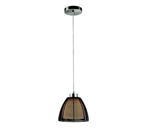 Svietidlá Searchlight 20032 - Luster na lanku 1xE27/60W/230V pr. 19 cm čierna 20032