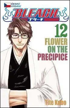 Manga Bleach 12 - Kubo Tite