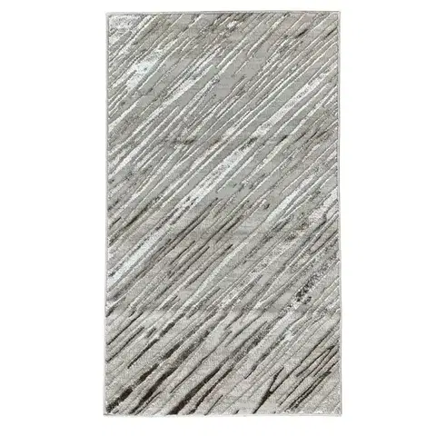 Moderné koberce Koberec Levizze 1,4/1,9 LVZ NA923 LVK44