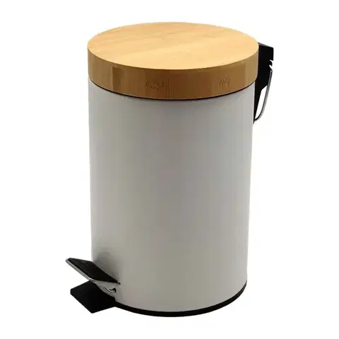 Kovové koše Odpadkový kôš s bambusovým vekom 20 l FTC001C-20L