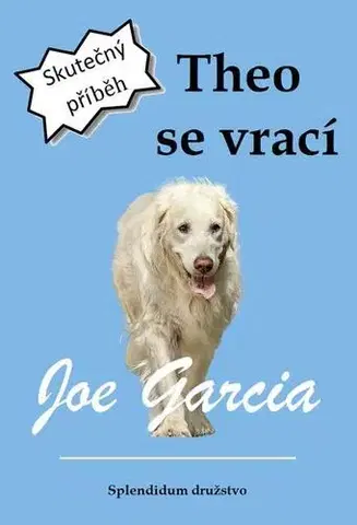 Romantická beletria Theo se vrací - Joe Garcia