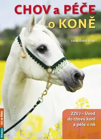 Kone Chov a péče o koně - Linda Doležalová