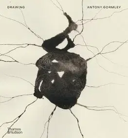 Maliarstvo, grafika Drawing: Antony Gormley - Antony Gormley