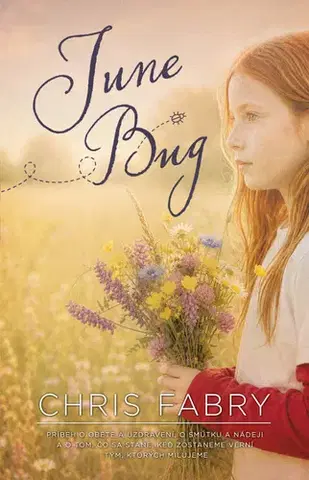 Kresťanstvo June Bug - Chris Fabry