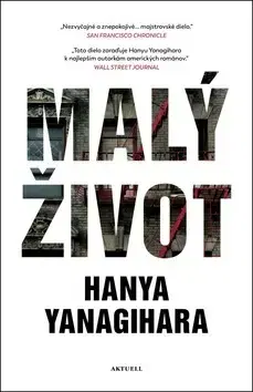 Romantická beletria Malý život - Yanagihara Hanya
