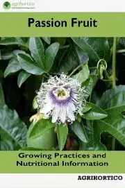 Hobby - ostatné Passion Fruit