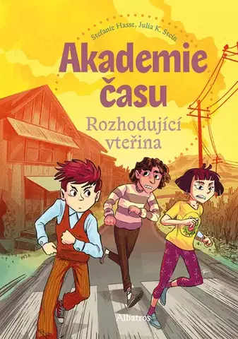 Young adults Akademie času (2): Rozhodující vteřina - Stefanie Hasse