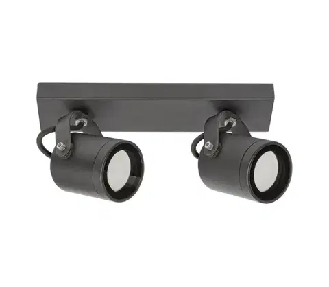 Svietidlá Rabalux - Vonkajšie nástenné bodové svietidlo 2xGU10/35W/230V IP44 7930