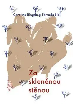 Svetová beletria Za skleněnou stěnou - Caroline Ringskog Ferrada-Noli,Jana Holá