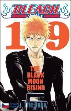 Manga Bleach 19 - Kubo Tite