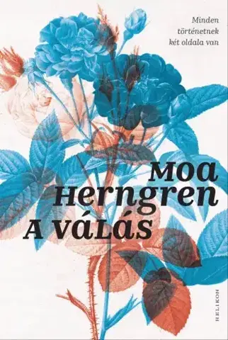 Svetová beletria A válás - Moa Herngren