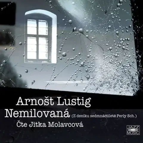 História Radioservis Nemilovaná