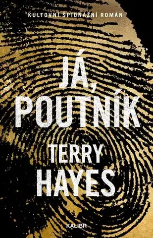 Detektívky, trilery, horory Já, Poutník - Terry Hayes