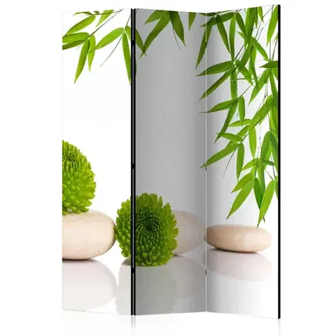 Paravány Paraván Green Relax Dekorhome