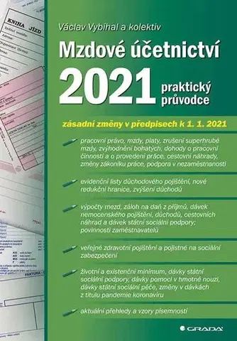 Dane, účtovníctvo Mzdové účetnictví 2021 - Václav Vybíhal