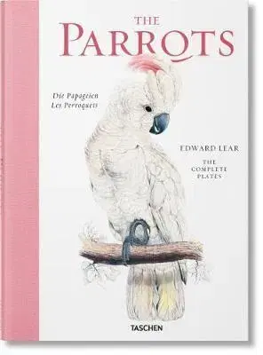 Fotografia Lear, Parrots - Francesco Solinas