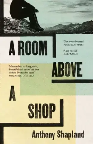Beletria A Room Above a Shop - Anthony Shapland