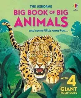 3D, magnetické, priestorové knihy Big Book of Big Animals - Hazel Maskell,Fabiano Fiorin