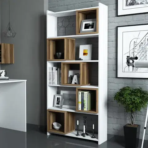 Knižnice Knižnica Box - White, Walnut