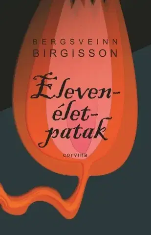 Svetová beletria Elevenélet-patak - Bergsveinn Birgisson