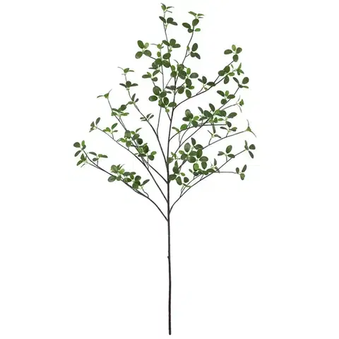 Záhradné dekorácie Vetvička vodného Ficusa 110 cm