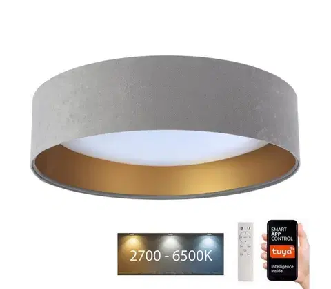 Svietidlá  LED Stropné svietidlo SMART GALAXY LED/36W/230V Wi-Fi Tuya šedá/zlatá + DO 