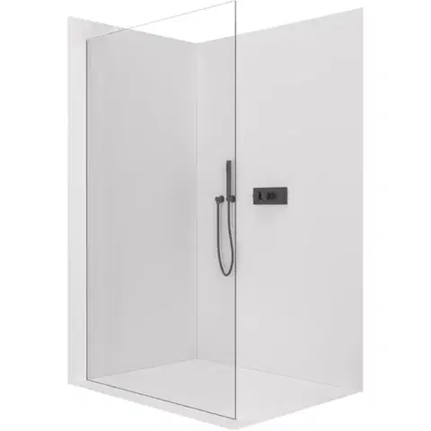 Sprchové dvere CERANO - Sprchová zástena Walk-in Crystal Ľ/P - 10 mm - bezvzperový systém - čierna matná, transparentné sklo - 150x200 CER-8050BD82674