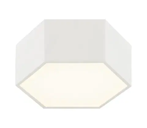 Svietidlá Argon 8781 - LED Stropné svietidlo LIBERO LED/12W/230V 3000K biela 8781