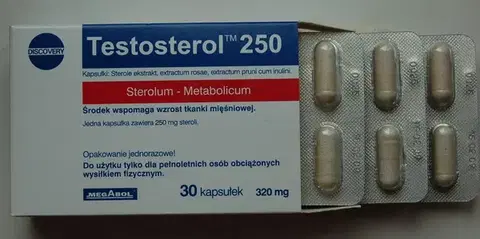 Anabolizéry a NO doplnky Testosterol 250 - Megabol 30 kaps