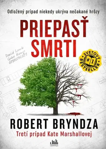 Detektívky, trilery, horory Priepasť smrti (Kate Marshall 3) - Robert Bryndza,Vladislav Gális