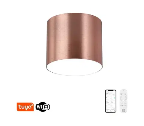 Svietidlá  NEO 07319L - LED stmievateľné stropné svietidlo RONDATE 18W/230V 11,5 cm Wi-Fi Tuya ružové 07319L