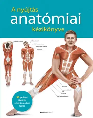 Anatómia A nyújtás anatómiai kézikönyve - Kolektív autorov
