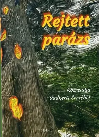 Historické romány Rejtett parázs - Erzsébet Vadkerti