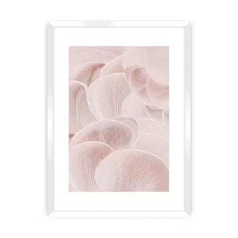 Obrazy Plagát Pastel Pink I