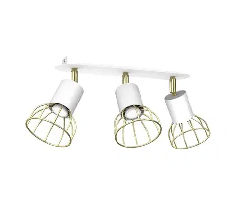 Svietidlá  Bodové svietidlo DANTE 3xGU10/25W/230V biela/zlatá MLP7252