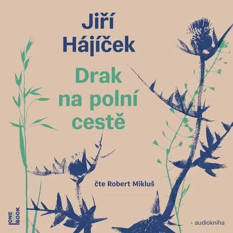 Beletria - ostatné OneHotBook Drak na polní cestě