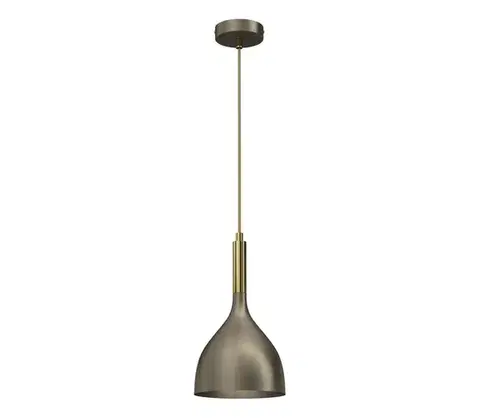 Svietidlá  Luster na lanku NOAK 1xE27/15W/230V mosadz/zlatá 4002