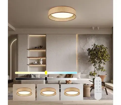 Svietidlá  NEO 07288L - LED+CCT stmievateľné stropné svietidlo LONA 36W/230V pr. 45,5 cm+ DO 07288L