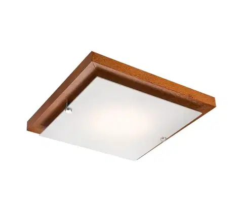 Svietidlá  Stropné svietidlo 1xE27/60W/230V LD PD 7.1