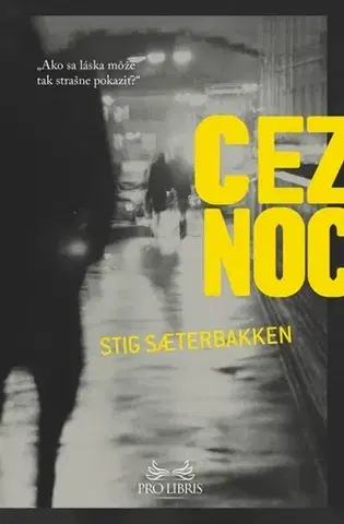 Detektívky, trilery, horory Cez noc - Stig Saterbakken