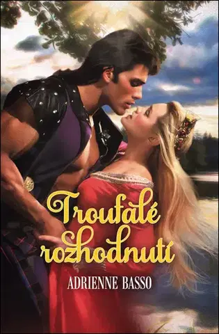 Romantická beletria Troufalé rozhodnutí - Adrienne Basso