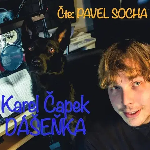 Rozprávky Socha Dášeňka čili život štěněte
