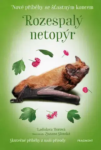 Rozprávky Nové příběhy se šťastným koncem – Rozespalý netopýr - Ladislava Horová