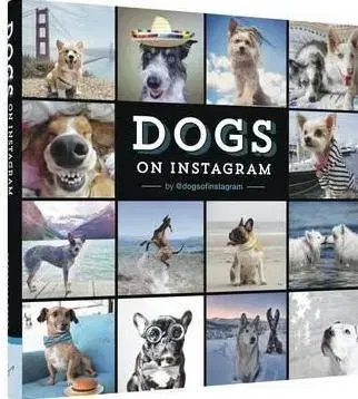 Psy, kynológia Dogs On Instagram