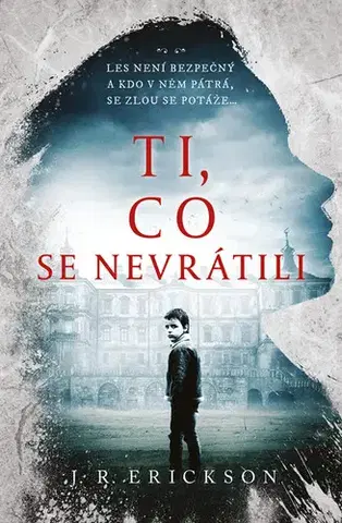 Detektívky, trilery, horory Ti, co se nevrátili - J.R. Erickson