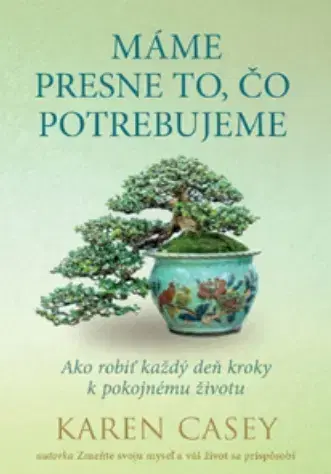 Duchovný rozvoj Máme presne to, čo potrebujeme - Karen Casey
