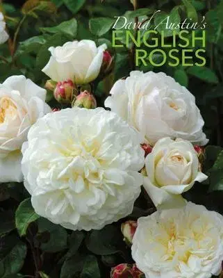 Okrasná záhrada David Austin's English Roses - David Austin