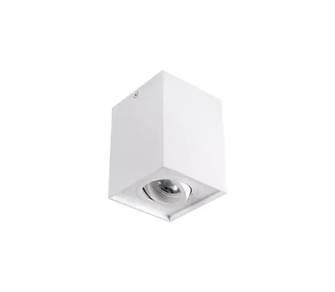 Svietidlá  25470 - Bodové svietidlo GORD 1xGU10/25W/230V biela 25470